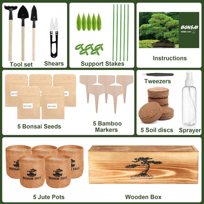 5 Pack Bonsai Tree Kit - 5 Seeds Growing Plant Bonsai Tree Live Kit for Beginners, Easy to Grow Complete Indoor Garden Starter Kits with Wooden Box & Tools, Christmas Gifts for Men Women Plant Lover
