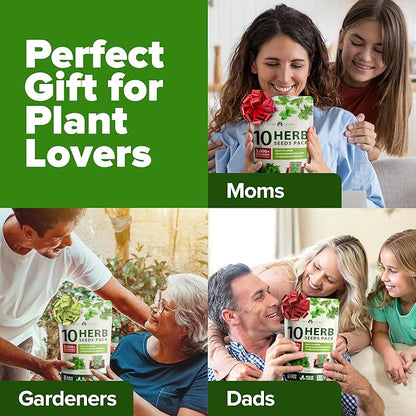 HOME GROWN 10 Herb Seeds for Planting 3,000+ Non-GMO Heirloom Seeds | Extra Large Variety Pack Herb Kit – Indoor Outdoor & Hydroponic | Culinary Seed Set | Grow Your Own Herbs | Gift for Beginners