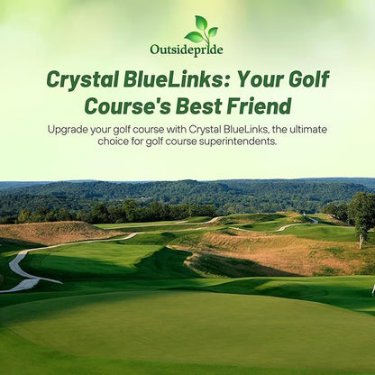 Outsidepride Crystal Bluelinks Creeping Bent Grass Seed - 1 lb. Dense Turf Grass for Golf Greens & Putting Surfaces, Fine-Textured, Tolerant to Close Mowing for Smooth, Consistent Lawn Coverage