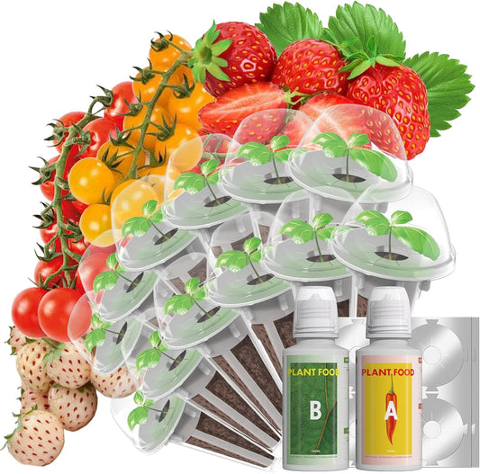 LYKOCLEAN Strawberry Seed Pods for AeroGarden, Ahopegarden, iDOO Hydroponics Growing System, 350 Seeds+ Including Red Cherry Tomato Golden Cherry Tomato, White Strawberry, Red Strawberry (12-Pods)