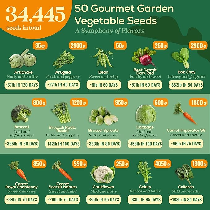 50 Gourmet Garden Vegetable Seeds Variety Pack - 34,455+ Non-GMO Heirloom Vegetables Seeds for Planting Indoor Outdoor: Broccoli, Carrot, Onion, Lettuce, Pepper - Gardening Seed Packets