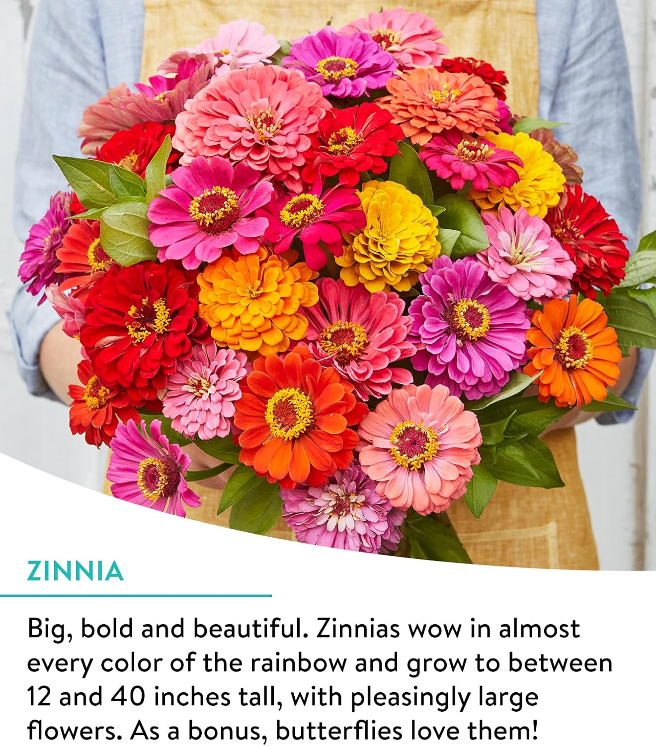 Burpee Wildflower Seeds Cutting Mix | 25,000 Bulk Seeds, Multi, 1 Bag | 15 Varieties of Non-GMO Flower Seeds | Perennial Wildflower Seeds Pollinator Mix | Covers 1,000 Sq. Ft.