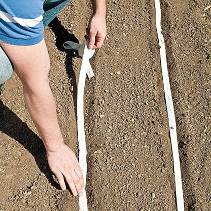 GURNEY'S - Turnip Purple Top White Globe Vegetable Seeds, 2 Seed Tape Measuring 7.5 feet Each