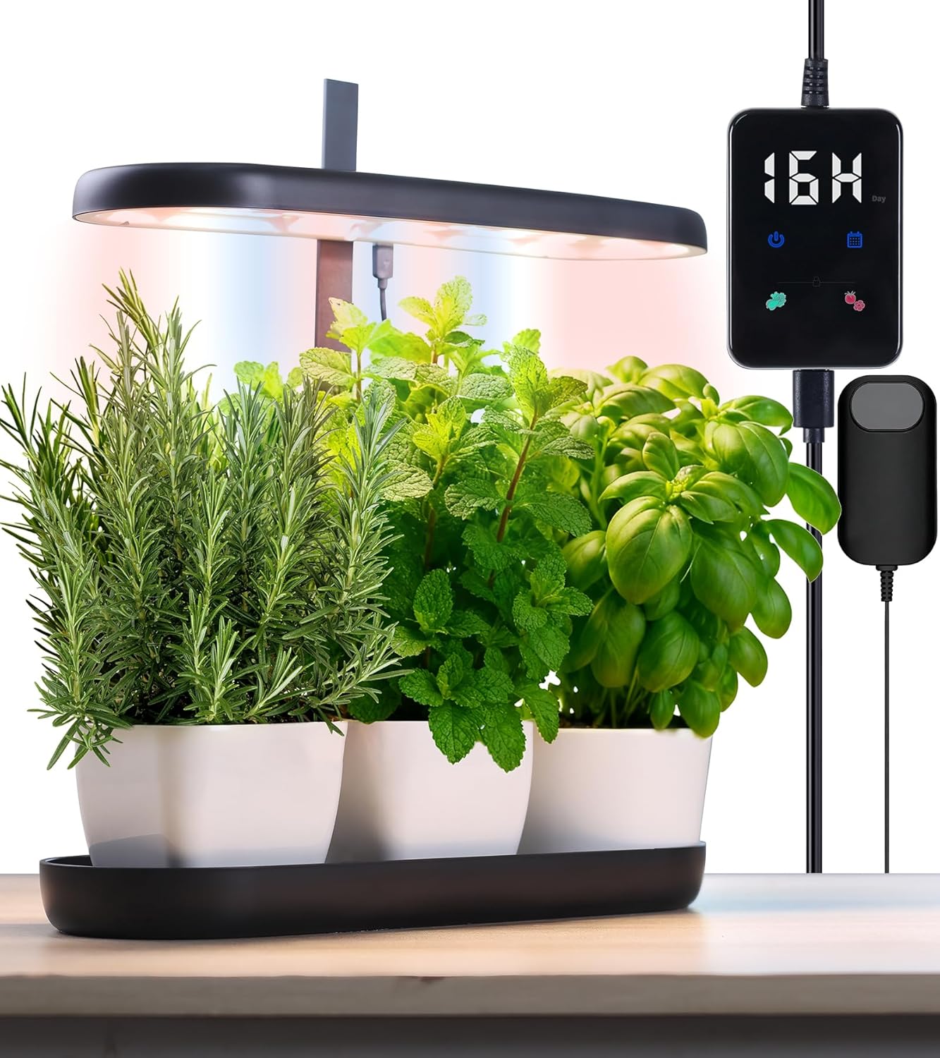 Indoor Garden Led Grow Light, 20W Full Spectrum LED Grow Lamp for Indoor Plants with Intelligent Controller, Height Adjustable, Ideal for Home Desk Plant Lighting (Black, ABS Base)