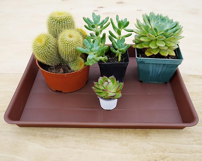 Plant Saucer Growing Tray, Seed Starter Tray Rectangular, Heavy Sturdy Plastic Plant Saucers Drainage Trays, Plant Drip Trays for Pots, Seed Starter Growing Tray (11 x 9 inch, 1 Pack)