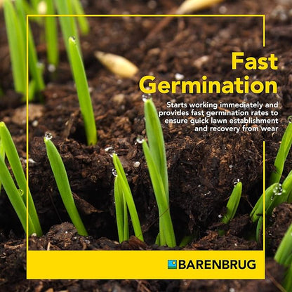 Barenbrug Wonderlawn Perennial Ryegrass Grass Seed for Southern Lawns, Fast-Acting Durable Grass Seed Mix for All Weather Conditions, 10-lb. Bag