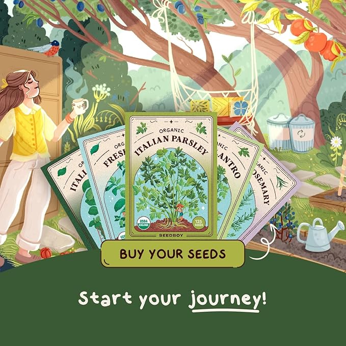 Seedboy Organic Parsley Seeds for Planting Indoor and Outdoor, Non-GMO and USDA Certified Herb Seed Packet for Hydroponic Garden Indoor or Planting Outdoors (Italian Parsley)
