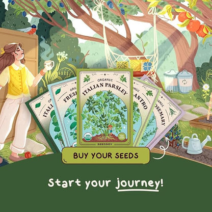 Seedboy Organic Parsley Seeds for Planting Indoor and Outdoor, Non-GMO and USDA Certified Herb Seed Packet for Hydroponic Garden Indoor or Planting Outdoors (Italian Parsley)