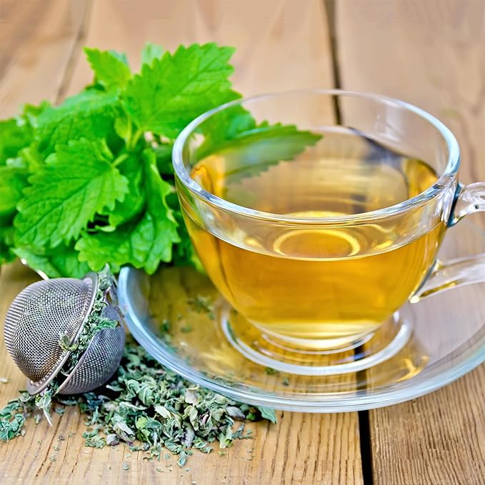 Back to The Roots 100% Organic Heirloom Seeds - Lemon Balm 'Melissa Officinalis' Value Pack (280mg Total)