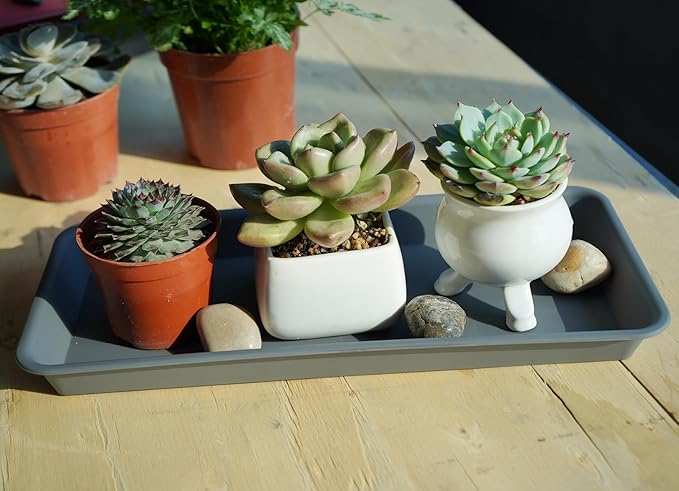 6 Pack of Plastic Plant Tray Saucer Rectangular 14 inch, Plant Trays Saucers for Indoors Outdoor, Plant Water Drip Tray for Flower Pot Planter, Windowsill Plant Tray (6.8 X 14.5'', Gray)