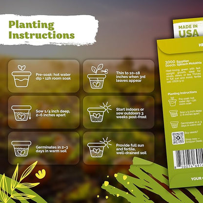 KVITER 3000 Egyptian Spinach Seeds - Molokhia (Corchorus Olitorius) – Jute Leaves, Ewedu, Rau Day, Saluyot Vegetable Seed – Non GMO & Heirloom Vegetable Seeds for Planting Outdoors & Indoors