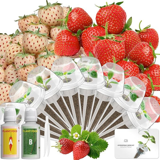 LYKOCLEAN Hydroponic Seed Pod Kit Compatible with AeroGarden, Ahopegarden, iDoo, MUFGA, 8 Pods Complete Growing Anything Garden Supply with Strawberry Seeds, Grow Sponges, Baskets, Domes, Labels