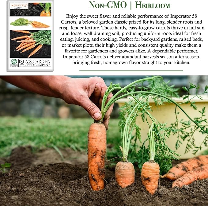 Imperator 58 Carrot Seeds (Daucus carota) – 500+ Non-GMO & Heirloom Seeds, Long and Sweet Carrots for Juicing, Fresh Eating, and Cooking, by Isla’s Garden Seeds, Great Gardening Gift