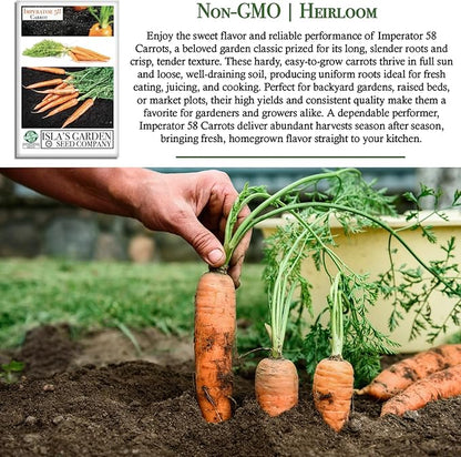 Imperator 58 Carrot Seeds (Daucus carota) – 500+ Non-GMO & Heirloom Seeds, Long and Sweet Carrots for Juicing, Fresh Eating, and Cooking, by Isla’s Garden Seeds, Great Gardening Gift