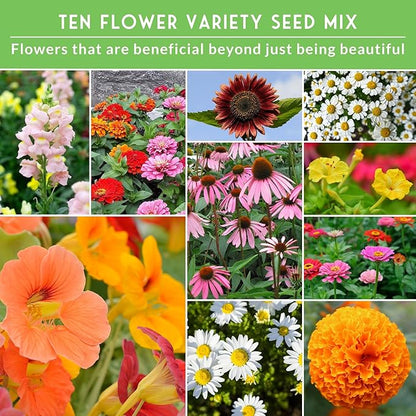 10 Flower Seed Collection for Planting | Zinnia, Sunflower, Marigold, Snapdragon, Nasturtium, Morning Glory, Chamomile, Shasta Daisy, Purple Coneflower, Four O’Clock - Survival Garden Seeds