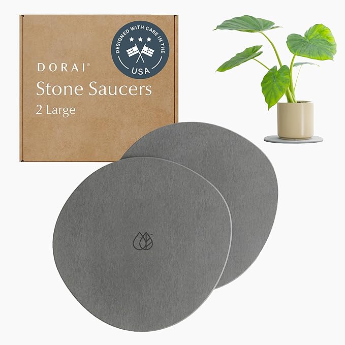 Dorai Stone Plant Pot Saucer – 2 Large Diatomite Water-Catching Trays for Indoor Plants