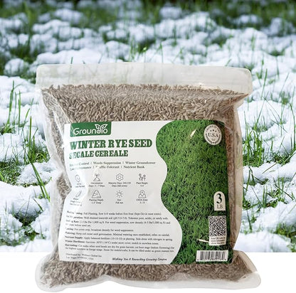 Winter Rye Seeds, 3lbs Non-GMO Cover Crop Seeds, Annual Secale Cereale to Plant for Lawn Alternative, Rye Grass Seed Grown in The USA