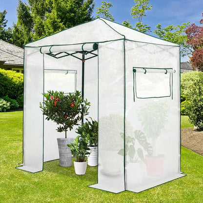 EAGLE PEAK Instant Pop-up Greenhouse, Indoor Outdoor Plant Gardening Green House, Roll-Up Zipper Doors and Side Windows, Walk in 6x4 ft, PE Cover, White/Clear