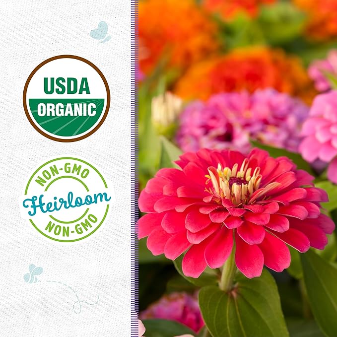 Back to The Roots 100% Organic Heirloom Seeds - Giant Zinnia Flowers Value Pack (420mg Total)
