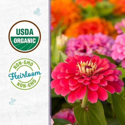 Back to The Roots 100% Organic Heirloom Seeds - Giant Zinnia Flowers Value Pack (420mg Total)