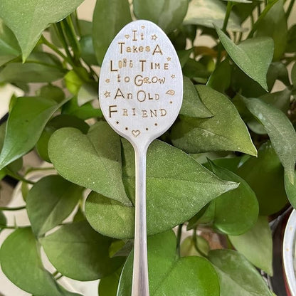 Garden Plant Marker Friendship Gift for Women Gardeners, Plant Stake Label Sign Tag Gardening Gifts for Woman Plant Lovers, Metal Garden Decoration (Grow an Old Friend)