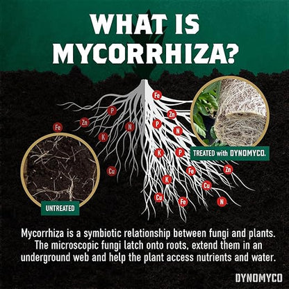 DYNOMYCO Mix 4-in-1 Mycorrhizal Grow Kit for Bigger Yields & Healthier Plants - Includes Concentrated Mycorrhizae, MHB & Bio-stimulants, Premium Coco Coir, and Biodegradable Grow Bags