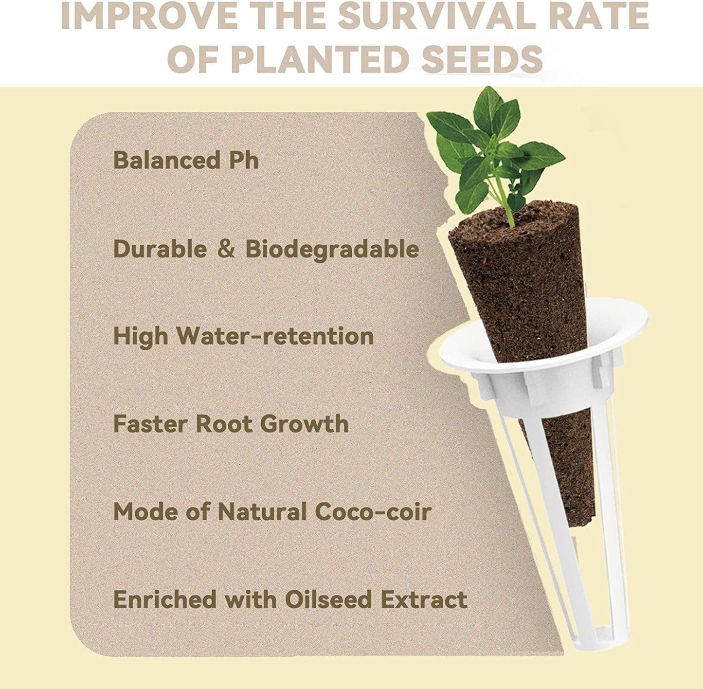 inbloom Salad Green Seed Pod Kit for Hydroponics Growing System, 12 Pods (350+ Seeds with American Fast/Paris Island/Buttercrunch Lettuce, Swiss Chard, Spinach, Cauliflower, and Wild Cabbage)