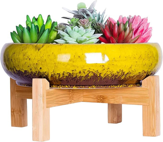 ARTKETTY Succulent Pots - 10 Inch Ceramic Bonsai Pots with Drainage Stand, Large Shallow Planters for Indoor Plants Glazed Cactus Flower Planter Container Bowl