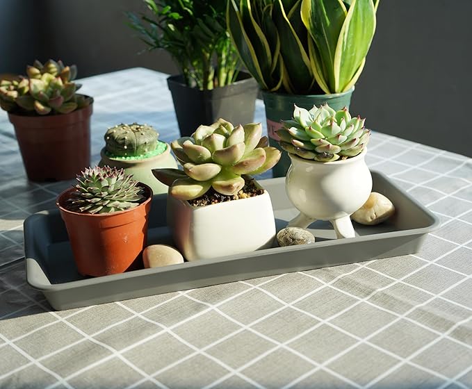 6 Pack Rectangular Plastic Plant Tray Saucer, Gray, 6.5 X 13 Inch, Indoor/Outdoor, High Load Bearing, Water Resistant