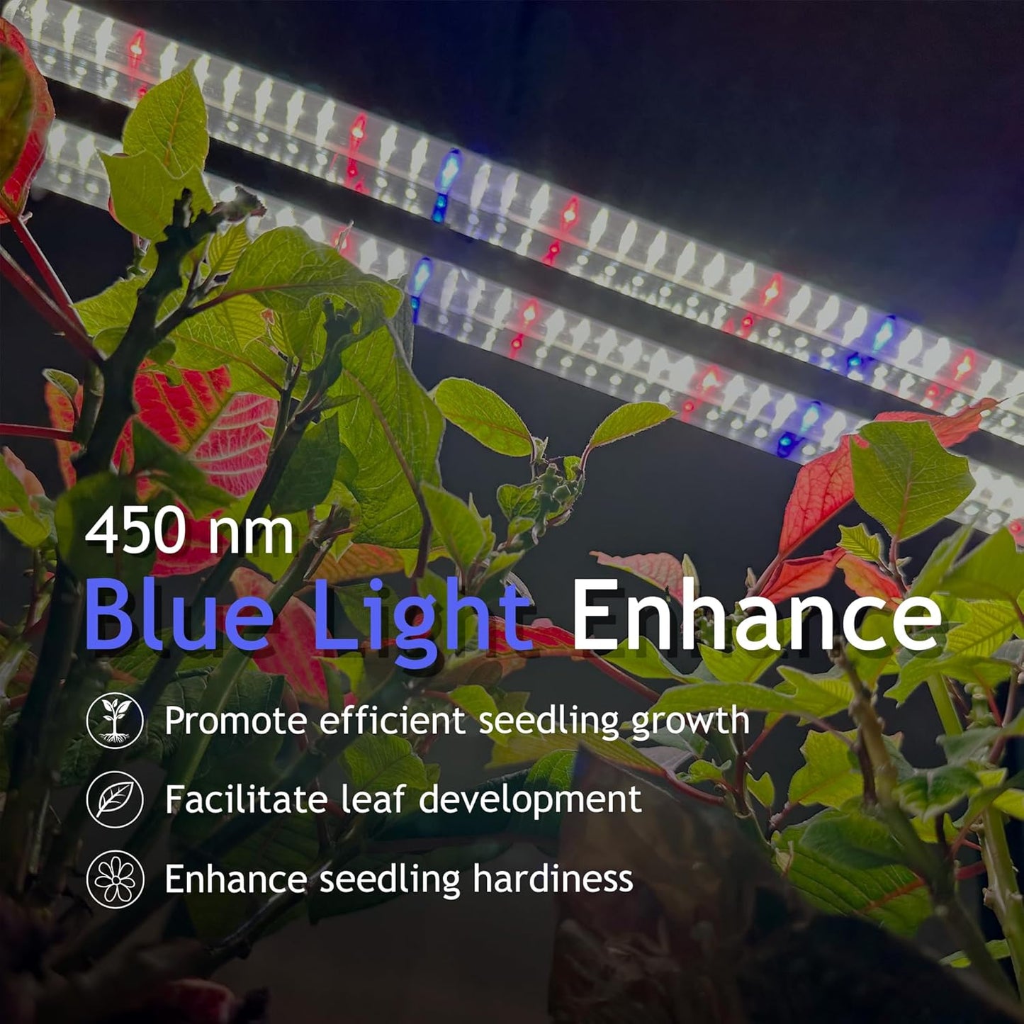 DYMOND BoostGro LED Seed Starter Grow Light Full Spectrum Linkable 5000k Daylight + 660nm Red + 450nm Blue Indoor Plant Lighting Fixture (2 FT, Black)