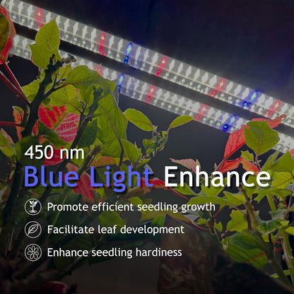 DYMOND BoostGro LED Seed Starter Grow Light Full Spectrum Linkable 5000k Daylight + 660nm Red + 450nm Blue Indoor Plant Lighting Fixture (2 FT, Black)