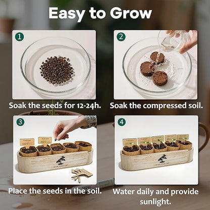 Bonsai Tree Kit for Beginners - Unique DIY Japanese Bonsai Trees,Crafts for Adults, Ideal Gardening Birthday Gift for Women & Men,Complete Indoor Plant Kit