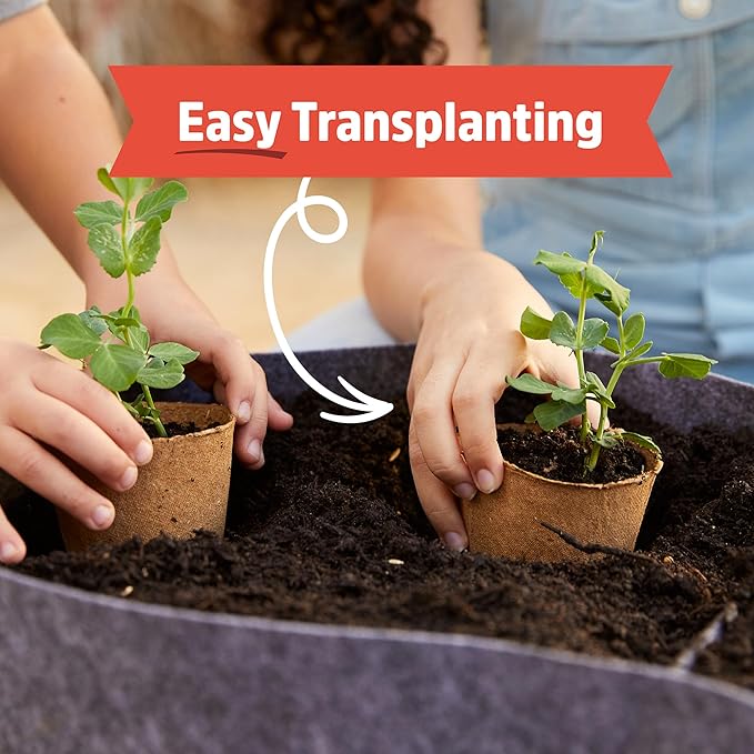 Back to the Roots Kids Science Grow Kit 2ct - Watermelon and Sunflower