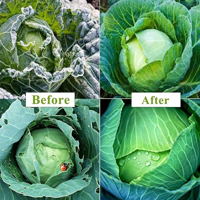 Plant Covers Freeze Protection Kit, 10 x 30Ft Frost Cloth and 6Pcs Fiberglass Garden Hoops 1oz/yd² Floating Row Cover with Greenhouse Hoops Frost Blanket for Winter Garden Covers for Raised Beds