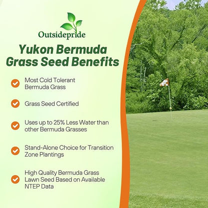 Outsidepride Yukon Bermuda Grass Seed - 2 lbs Cold & High Traffic Tolerant, Premium Hybrid Bermuda Turf Grass Seeds for Lawn, Ideal Low Maintenance Seed Grass for Colder & Challenging Area