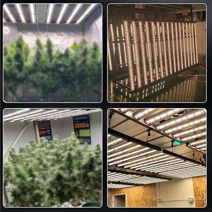 Phlizon FD9600 1000W Plant Led Grow Light for 4x4 5x5 6x6 7x7ft Indoor Commercial Plants Daisy Chain Dimmable Grow Light Brand Driver Foldable Full Spectrum UV IR Growing Lamps (FD9600)