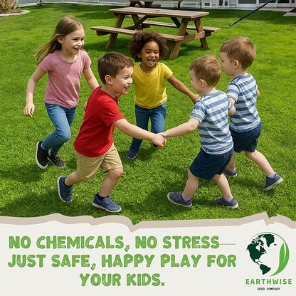 Earthwise Low Grow Alternative Lawn Mix - No Mow - 5lb - Covers 2000sq. ft. (Bare) / 5000sq. ft. (overseed)