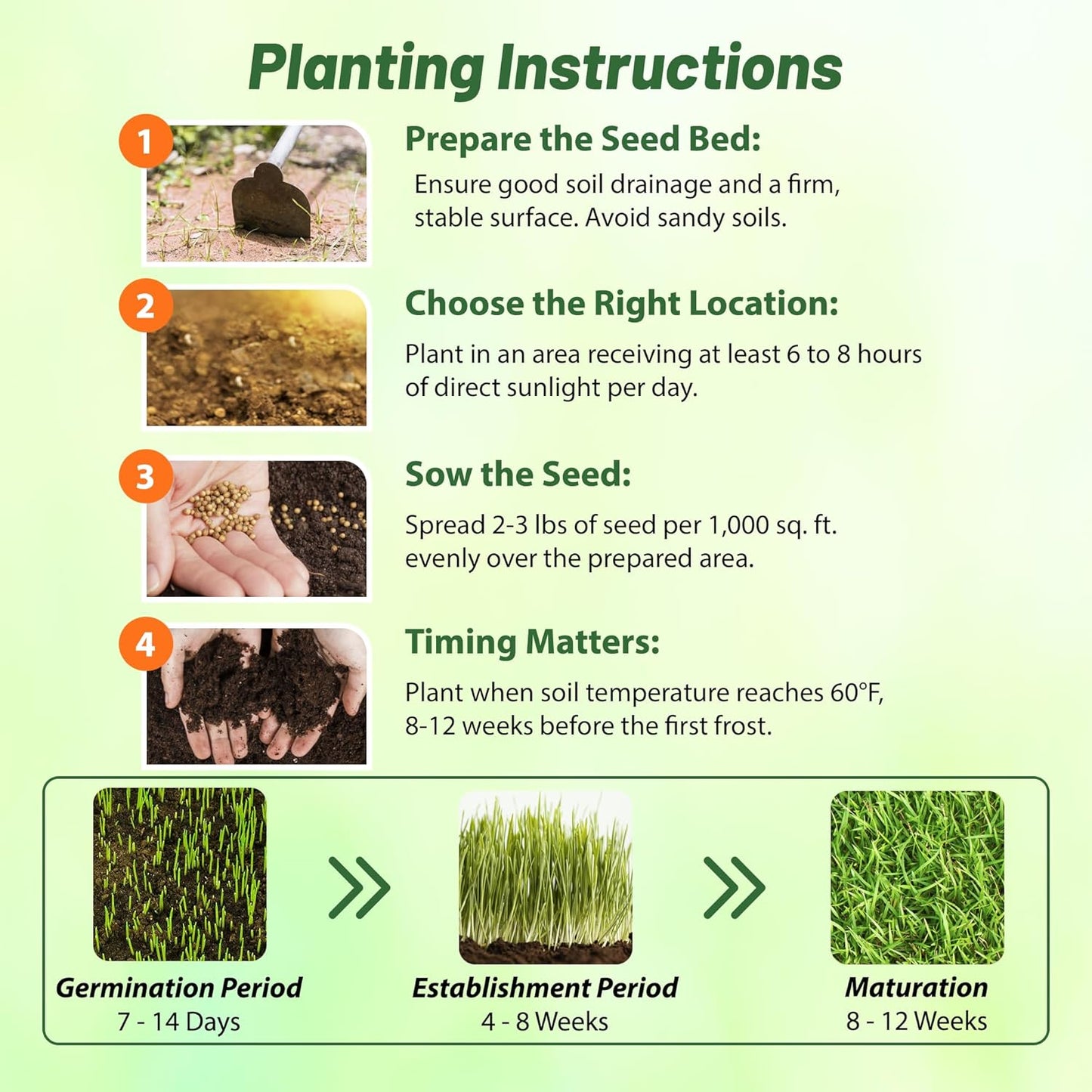 Outsidepride Perennial Buffalo Grass Seed - 2 lbs Heat & Drought Tolerant, Low Maintenance, Warm Season Dense Turf Grass Seed for Lawn, Xeriscape Landscaping, & Roadside Planting