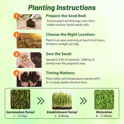 Outsidepride Perennial Buffalo Grass Seed - 2 lbs Heat & Drought Tolerant, Low Maintenance, Warm Season Dense Turf Grass Seed for Lawn, Xeriscape Landscaping, & Roadside Planting