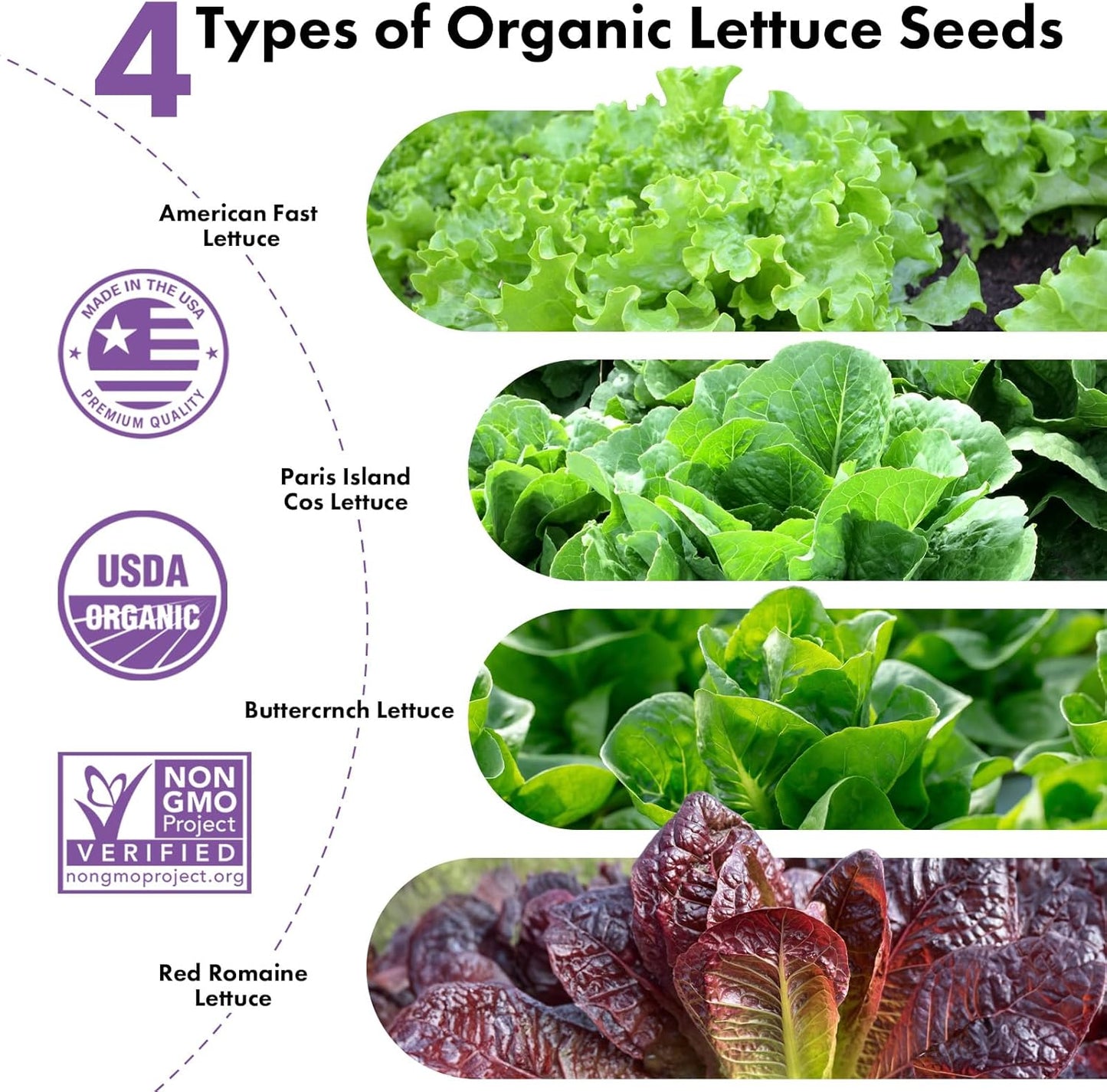 LYKOCLEAN Salad Romaine Lettuce Seed Pods for AeroGarden,Ahopegarden, iDOO Hydroponics Growing System,350 Seeds+ Including American Lettuce,Paris Island Cos Lettuce,Buttercrunch Lettuce (12-Pods)