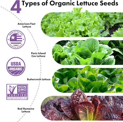 LYKOCLEAN Salad Romaine Lettuce Seed Pods for AeroGarden,Ahopegarden, iDOO Hydroponics Growing System,350 Seeds+ Including American Lettuce,Paris Island Cos Lettuce,Buttercrunch Lettuce (12-Pods)