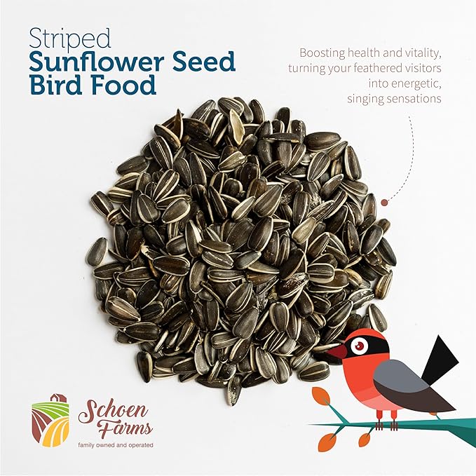 Schoen Farms Striped Sunflower Seeds – Hulled Wild Bird Food – 6 lb Bag – Premium Bird Seed for Cardinals, Jays & Finches