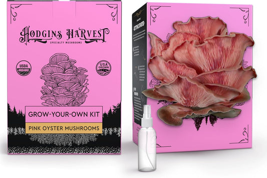 Pink Oyster Mushroom Grow Kit (4lbs) | USDA Certified Organic | Grow Your Own Delicious Gourmet Mushrooms at Home