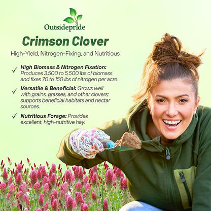 Outsidepride Crimson Clover Seeds - 5 lbs. Annual, Nitrocoated, & Inoculated Ground Cover Seeds, Ideal Clover Seed for Lawn, Cover Crop, Pasture, Hay, Green Manure & Wildlife Forage