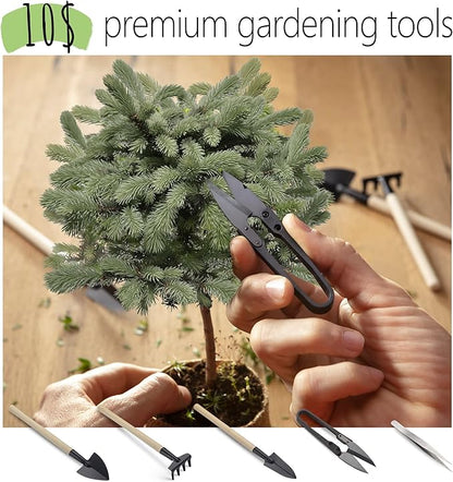 Bonsai Starter Kit – Growing Jacaranda Bonzai Tree from Seeds | Complete Indoor Tree Kit for Growing Plants with Tools & Planter – Gardening Gifts for Mother, Women & Men