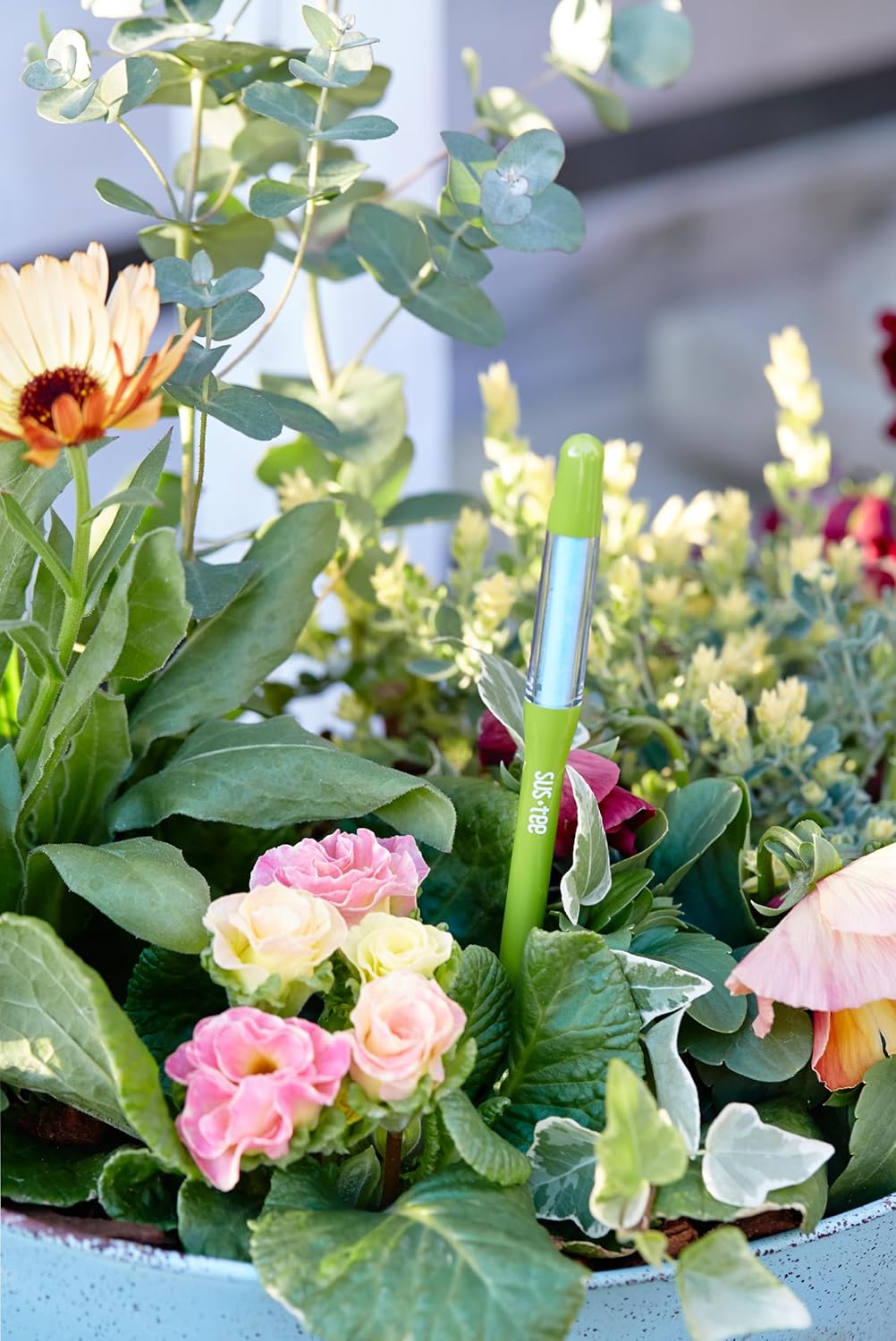 IPPINKA Sustee Aquameter, Bundle of 36, House Plant Soil Moisture Meter, Best for Indoor Potted Plants - Large Green Refillable