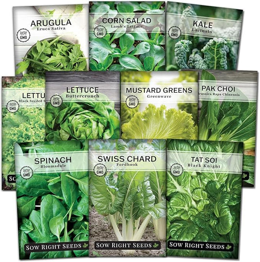 Sow Right Seeds - Large Greens Seed Collection for Planting - Spinach, Arugula, Kale, Lettuce, Tat SOI, Pak Choi and Rainbow Swiss Chard - Non-GMO Heirloom - Plant and Grow a Home Vegetable Garden