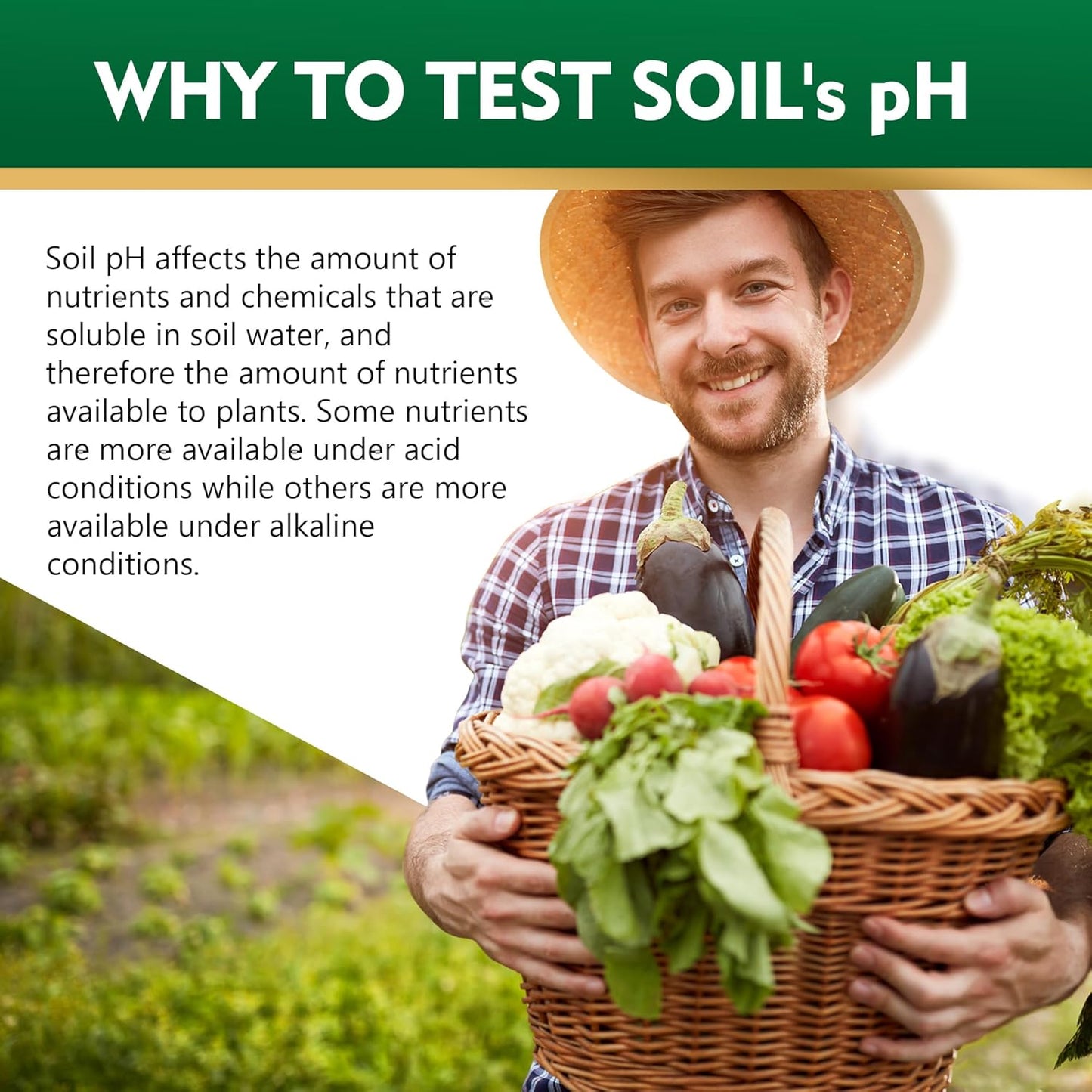Soil pH Test Kit，125 Soil pH Test Strips– (3-9 Range) Quick & Accurate Soil Testing Paper for Gardens Lawns Farms Grass Flower Vegetable Compost Plants