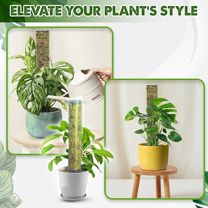 DUSPRO D-Shaped Plastic Moss Poles for Climbing Plants Monstera Stackable Moss Pole for Plants Moss Plant Pole Handmade Moss Stick for Indoor Plants Grow Upward 2 Pack 16.5 inches