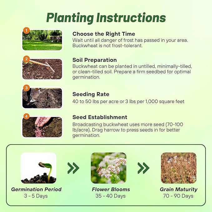 Outsidepride Buckwheat Seeds - 5lbs Annual, Fast-Growing, Easy to Grow Buckwheat Cover Crop Seeds for Green Manure, Bee Pasture & Pollinators, Wildlife Habitat, Soil Improvement, and Erosion Control